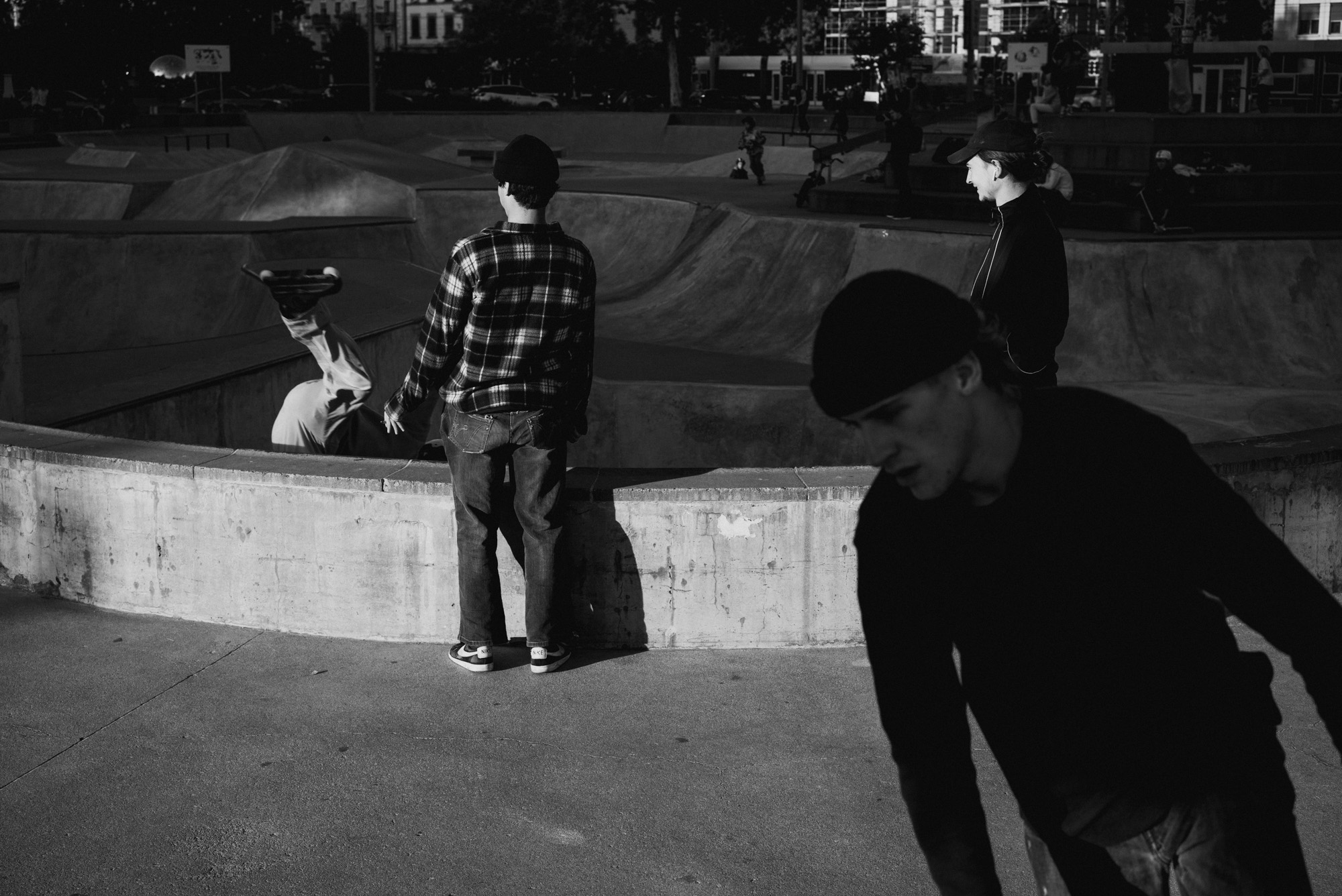 Study of Skaters